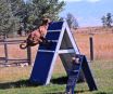 lalu-schutzhund-misc-aug212011 022