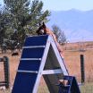 lalu-schutzhund-misc-aug212011 025