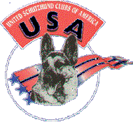 click to go to USA's website
